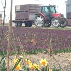 Too much reflection may lead to self-doubt