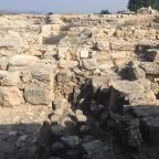 Dust in the Israeli Wind