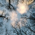 New Year 2021 – New Writing Challenge 365