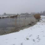 Staying indoors, or going into the snow?